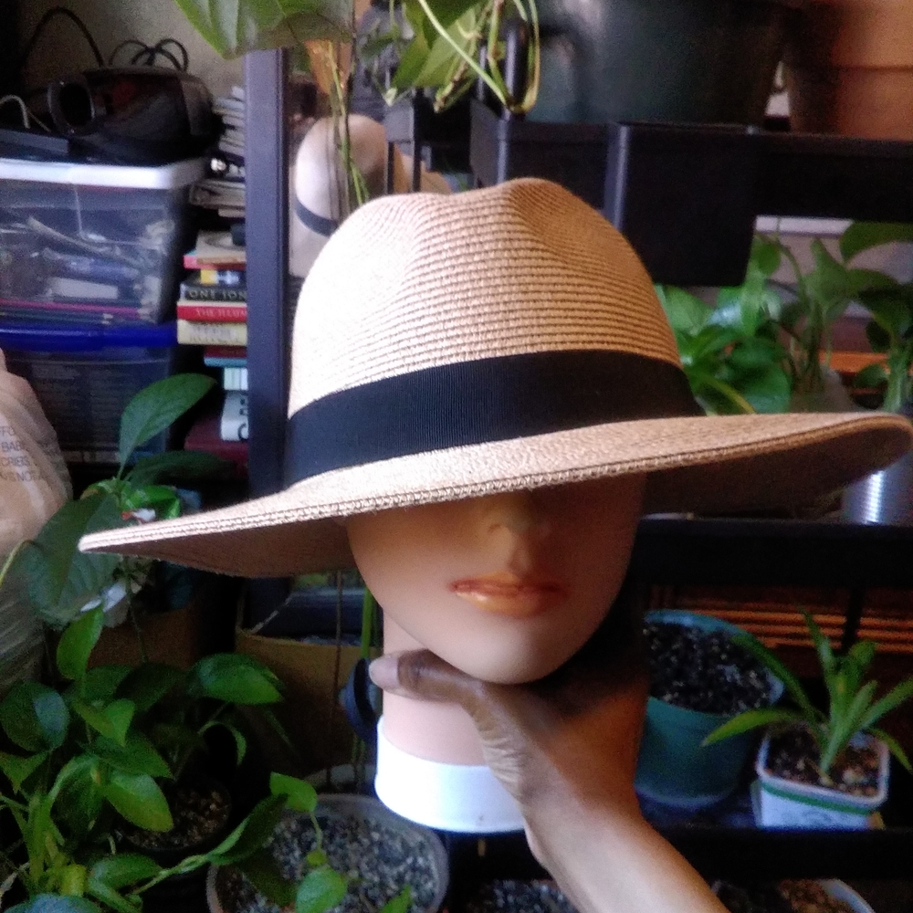 Banana Republic Factory Tan Wide-Brim Fedora Hat
